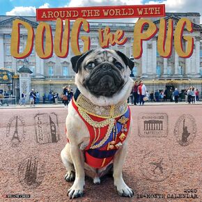 Willow Creek Press Doug the Pug Monthly 2025 Wall Calendar (12" x 12")