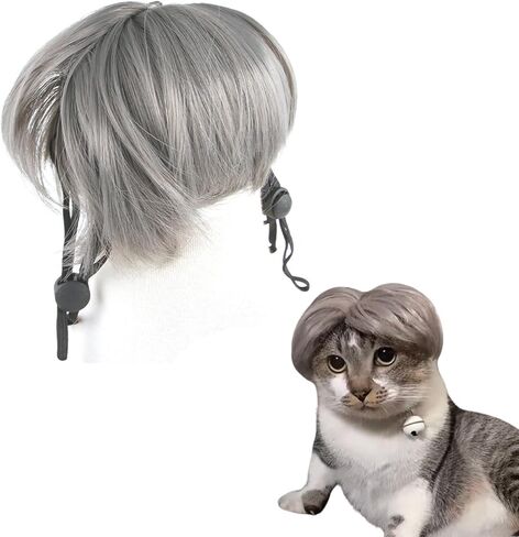 Cat Cat Cat Cat Cate Pet شعر مستعار قابلة للتعديل قابلة للضبط أزياء الهالوين القبعة للقطط الصغيرة الكلب in Kuwait