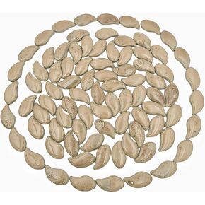 500g/1.1lb Petal Shape Ceramics Mosaic Tiles Pieces,Random Color Irregular Ceramics Mosaic Tiles for Mosaic Art Projects and DIY Crafts Home Decoration. (Petal 02)