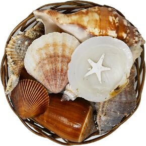 Beautiful Mixed Shell Basket - Basket of Shells - Starfish - 3 sizes (4 inch)