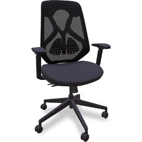 HELYX Home Office Desk Chair ، كرسي كمبيوتر مع دعم القطني القابل للتعديل ، مساند ذراعي قابلة للتعديل ثلاثية الأبعاد ، كرسي ألعاب قاعدة النايلون مع مقاعد رغوة ، كرسي مكتب كمبيوتر ثقيل 300 رطل ، الفحم | قماش