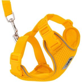 RC Pet Products Adventure Kitty Harness, Cat Walking Harness, Medium, Marigold (53804198)