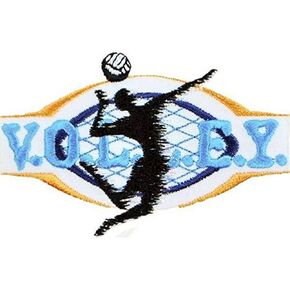Expo International Volleyball Sport Embroidered Iron-on Applique Trim Embellishment, Multi-Color