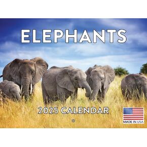 Highland Cow Calendar 2025 Monthly Wall Scottish Hyland Cattle | American Made In The USA