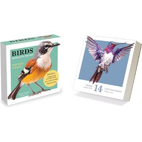 TF PUBLISHING 2025 Birds: Backyard & Beyond Desktop Calendar | Small Monthly Desk Calendar with Full-Color Tear-Off Pages | Standing Fold-Out Cardboard Easel for Desks | 5.25" x 5.25"