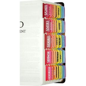 Bible Tabs Large Print Laminated Bible Dividers Old and New Testament Rainbow