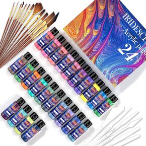 HissiCo Iridescent Acrylic Paint Set of 24 Chameleon Colors 60ml 2 OZ Bottles with 12 brushes 5 knifves, High Viscosity Shimmer Paint for Artists, Beginners on Rocks, Crafts, Canvas, Wood, Fabric, Ceramic