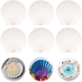 GXGGUS 6PCS Scallop Shells for Crafts 4''-5'' Natural White Large Shells Decoration for DIY Craft Painting, Home Decor, Baking and Beach, Wedding Party Decoration