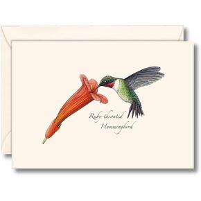 Earth Sky + Water - Ruby-throated Hummingbird & Flower Notecard Set - 8 Blank Cards with Envelopes