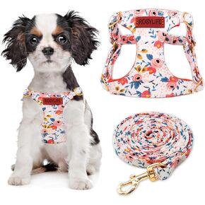 No Pull Dog Harness Adjustable Small Dog Harness and Leash Set, Lightweight and Soft Dog Harness No Choke Escape Proof Pet Harness Vest (Orange Rose, XS)