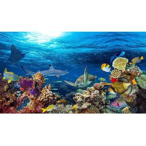 Aquarium Background Underwater Coral Reef Landscape Terrarium Background Deep Blue Ocean with Colorful Fish and Marine Life Sunlight Ray Aquarium Backdrop Fish Tank Backdrop Vinyl 36x20in
