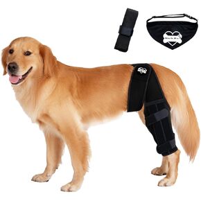 Dog Knee Brace Hind Leg - Orthopedic Brace for Dogs - Integrated Support Strap for Canine Cruciate Ligament, Luxating Patella, Dislocation Injury - Includes Bandana Collar - Black (M)