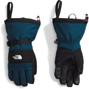 THE NORTH FACE Men's Montana Insulated Ski Glove, Nettle The Lift Print, X-Large