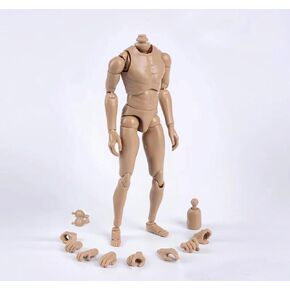 1/6 Scale Narrow Shoulder Male Body Doll Action Figure for TTM18 TTM19 Hot Toys & Human Body Sketch Model