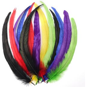 60Pcs Colorful Rooster Tail Feathers 12-14inch Colored Feathers Natural Long Rooster Tail Feathers Long Large Rooster Feathers Bulk for DIY Craft Clothes Wedding Home Party Decorations(6Colors)