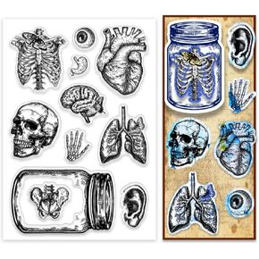 PH PandaHall Skeleton Clear Stamps Jar Organ Rubber Stamps Heart Eyeball Transparent Stamps Clear Scrapbooking Stamp for Helloween Card Making Decoration DIY Scrapbooking Album Diary Crafts
