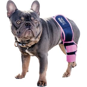 Pink - Dog Knee Brace for Torn ACL, CCL, and Leg Ligament Injuries with Removable Hot/Cold Gel Packs – Promote Joint Healing and Long-Lasting Mobility – Pain Relief and Inflammation Reduction (Small)
