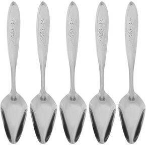 5Pcs Parrot's Milk Powder Stainless Steel Spoon for Pet Birds Feeding Spoons