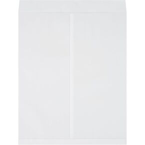 Jumbo Envelopes, 22" x 27", White, 100/Case