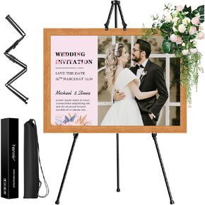 Artist Easel Stand for Display, Portable Easel for Wedding Signs & Painting, 65'' Floor Adjustable Easel for Display with Bag, Metal Painting Easel for Welcome Sign, Drawing, Poster, Canvas, Black