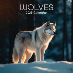 The Gifted Stationary 2025 Square Wall Calendar, Wolves, 16-Month Animals Theme Hanging Calendar with 180 Reminder Stickers, Month Planner for Home, or Creative Spaces, 12x12 In