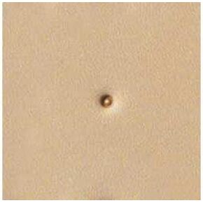 Tandy Leather S932 Craftool� Seeder Stamp 6932-00