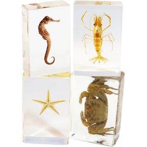 REALBUG 4 Pc Sea Life Paperweight Collection