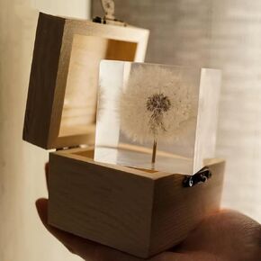 DESHINTKE Cube Dandelion Specimen Paperweight with Wood Box, 2 inch Transparent Real Dandelion Desktop Decor Decoration