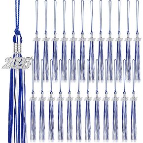 24 Pieces Graduation Tassels with 2025 Year Date Charms Grad Graduation Cap Tassel Graduation Hat Decoration for 2025 Graduation Gifts Party Activities, 16.2 Inch(Royal Blue, White, Silver)