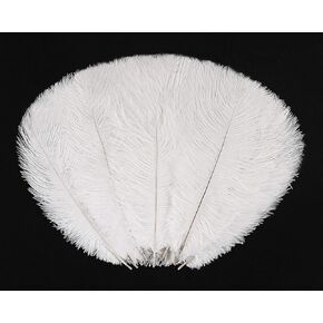 Hollosport 30PCS Bulk White Ostrich Feathers 12-14 Inches for Centerpieces Party Wedding Home Decorations Dream Catchers Vases Crafts