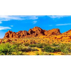Reptile Habitat Background Colorful Red Sandstone Rock Formation Terrarium Background Blue Sky Gobi Desert Plants Aquarium Background Tank Wallpaper Decor Vinyl 48x18in