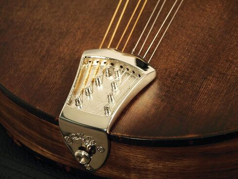 قطعة ذيل AB-TP/GD Ashton Bailey Mandolin، باللون الذهبي in Saudi Arabia