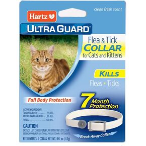 Hartz UltraGuard Flea & Tick Collar for Cats and Kittens, 7 Month Flea and Tick Protection and Prevention, White