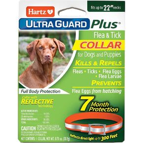 Hartz UltraGuard Plus Flea & Tick Collar for Dogs and Puppies, 7 Month Flea and Tick Prevention and Protection Per Collar, Reflective Orange, up to 22 Inch Neck in Kuwait