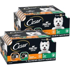 CESAR Adult Soft Wet Dog Food Filets in Gravy Variety Pack, Filet Mignon, New York Strip and Prime Rib Flavors, (24) 3.5 oz. Trays