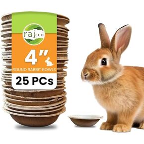 Raj Disposable Palm Leaf Bowls for Bunnies (25 Count, 4" Bowls) Compostable Bowls Like Bamboo Bowls Disposable Bunny Chew Toys | All-Natural Safe & Chewable Treat Dish for Rabbits & Bunnies