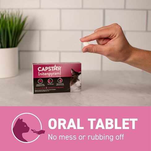 CAPSTAR (nitenpyram) Oral Flea Treatment for Cats, Fast Acting Tablets Start Killing Fleas in 30 Minutes, Cats 2-25 lbs, 6 Doses in Kuwait