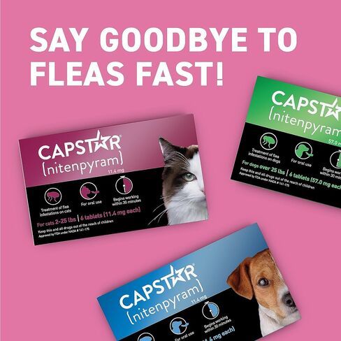 CAPSTAR (nitenpyram) Oral Flea Treatment for Cats, Fast Acting Tablets Start Killing Fleas in 30 Minutes, Cats 2-25 lbs, 6 Doses in Kuwait