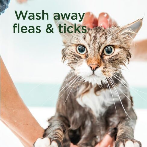 SimpleSource® Flea & Tick Shampoo for Dogs, Powered by Plants, Kills Fleas, Flea Eggs, Flea Larvae, & Ticks, & Mosquitos, Cleans & Deodorizes, 12oz Bottle in Saudi Arabia