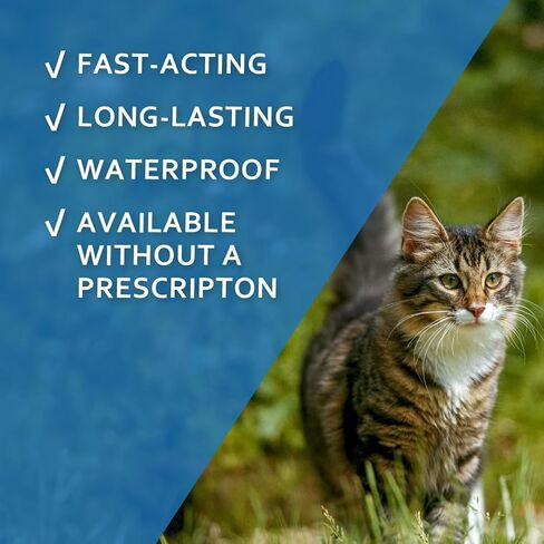 SENTRY Fiproguard for Cats, Flea and Tick Prevention for Cats (1.5 Pounds and Over), Includes 6 Month Supply of Topical Flea Treatments in Kuwait