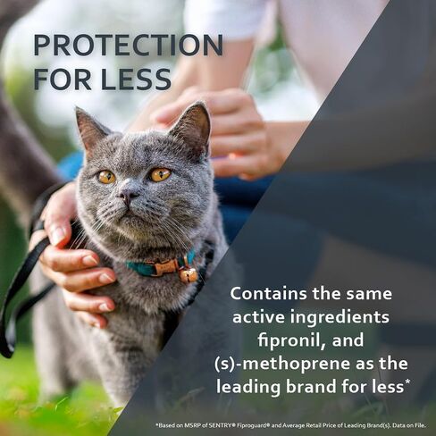 SENTRY Fiproguard for Cats, Flea and Tick Prevention for Cats (1.5 Pounds and Over), Includes 6 Month Supply of Topical Flea Treatments in Kuwait
