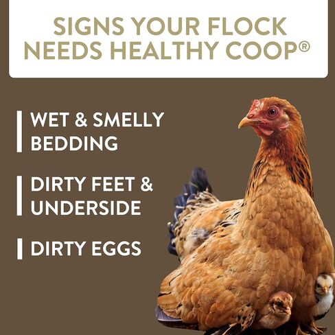 Healthy Coop, Litter Additive for Chicken Coop with Probiotic & Acidifier, Reduces Odor, Wetness & Bacteria, 12lbs in Saudi Arabia