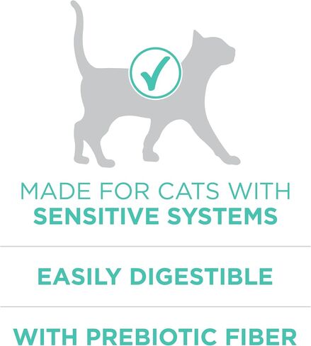 Purina ONE Sensitive Stomach, Sensitive Skin, Natural Dry Cat Food, +Plus Sensitive Skin and Stomach Formula - 16 lb. Bag in Kuwait