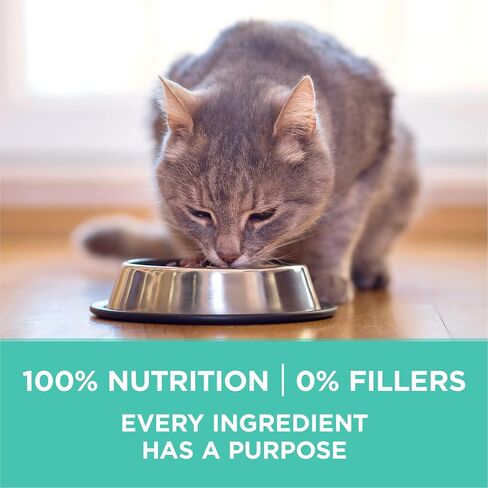 Purina ONE Sensitive Stomach, Sensitive Skin, Natural Dry Cat Food, +Plus Sensitive Skin and Stomach Formula - 16 lb. Bag in Kuwait
