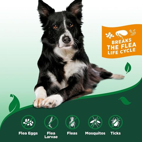 Vet's Best Flea and Tick Home Spray - Dog Flea and Tick Treatment for Home - Plant-Based Formula - Certified Natural Oils,Green - 32 oz in Kuwait