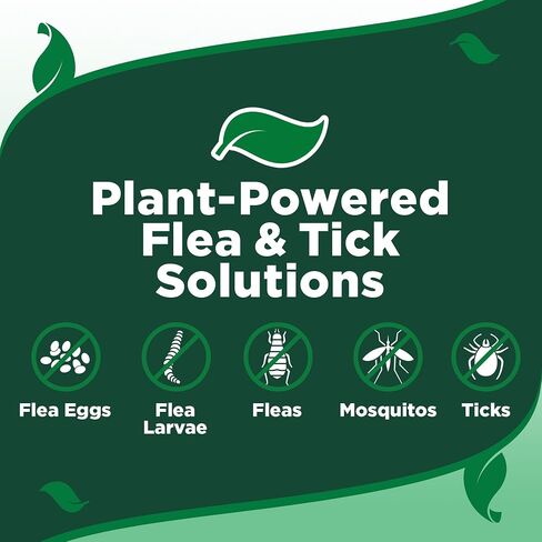 Vet's Best Flea and Tick Home Spray - Dog Flea and Tick Treatment for Home - Plant-Based Formula - Certified Natural Oils,Green - 32 oz in Kuwait