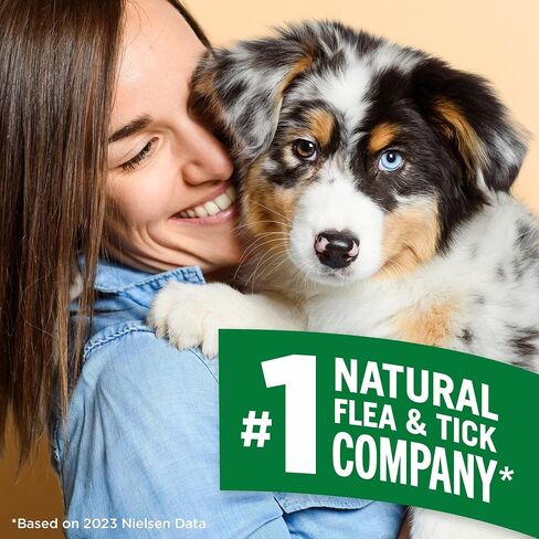 Vet's Best Flea and Tick Home Spray - Dog Flea and Tick Treatment for Home - Plant-Based Formula - Certified Natural Oils,Green - 32 oz in Kuwait