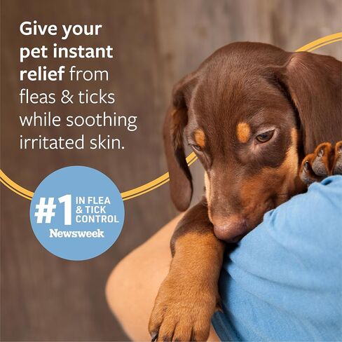 الصيغة البيطرية البراغيث ورذاذ القراد للكلاب ، 8 أوقية-رذاذ البراغيث سهلة الاستخدام ، يقتل على اتصال ، يمنع تطور البيض واليرقات لمدة 14 أسبوعًا in Kuwait