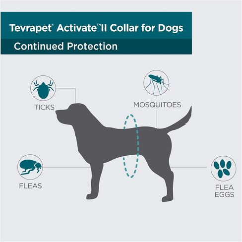 TevraPet Activate II Flea and Tick Collar for Dogs, 12 Months Prevention, 2 Count, One Size Fits All in Kuwait