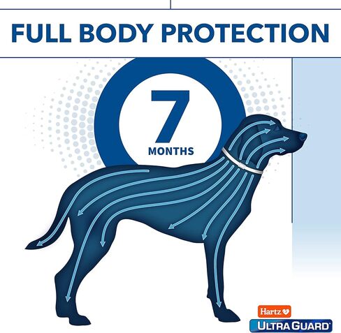 Hartz UltraGuard Plus Flea & Tick Collar for Dogs and Puppies, 7 Month Flea and Tick Prevention and Protection Per Collar, Reflective Orange, up to 22 Inch Neck in Kuwait